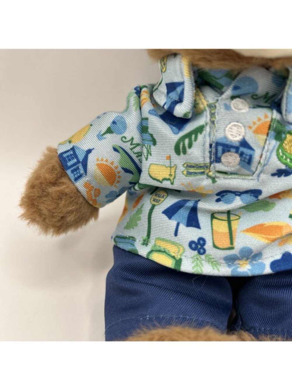 2026 Masters Tournament Boy Teddy Bear Plush Blue Shirt Cap Stuffed Animal Golf - Picture 5 of 16